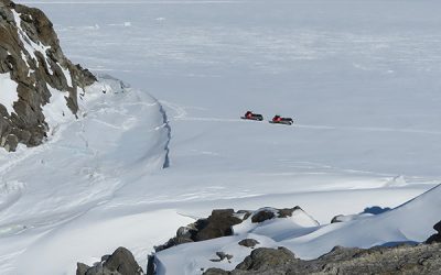 LIFE ON ROCKS. A SENSITIVE SUBSTRATE FOR POLAR TERRESTRIAL VEGETATION AND GLOBAL CHANGE